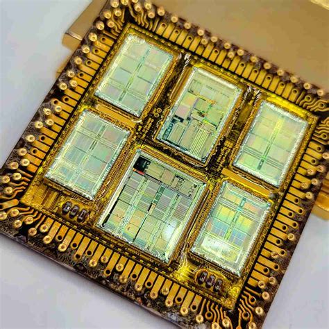 gentri gold modules|Gold .